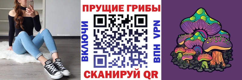 Псилоцибиновые грибы прущие грибы  hydra ССЫЛКА  Шумерля  цена наркотик 